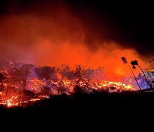 View outside of Lahaina-fires