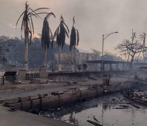 hawaiian islands online, Maui fire relief