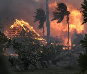 Maui Fires